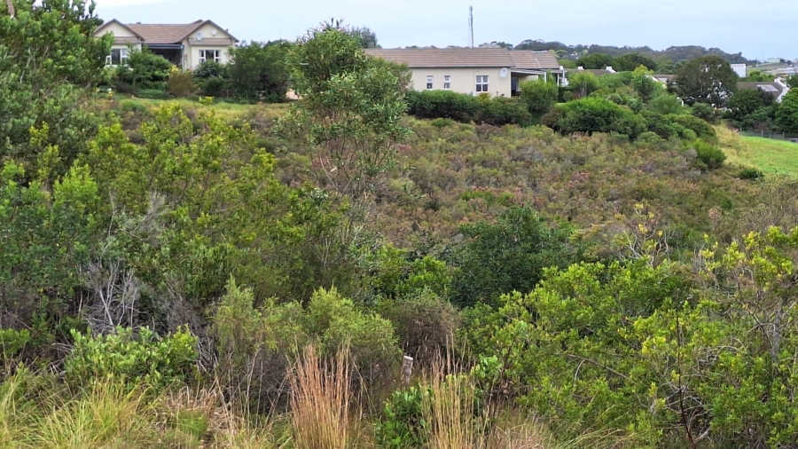 0 Bedroom Property for Sale in Baron View Western Cape